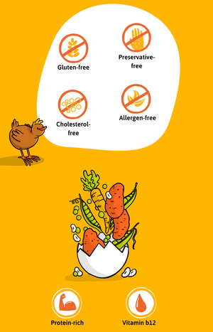 Ingredients - Plant Based Eggs